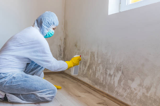 Attic mold on roof deck in Robbinsville home