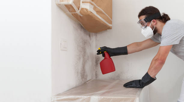 Attic Mold Remediation treatment on roof deck in Robbinsville